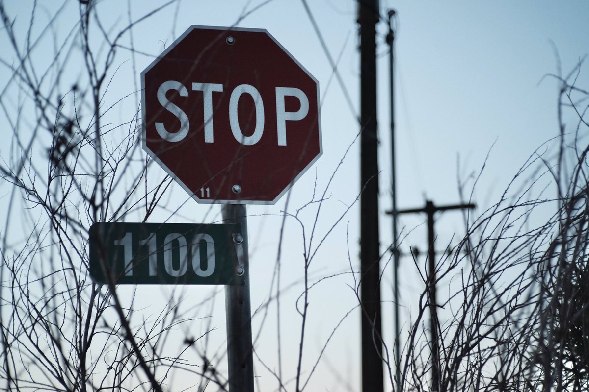 Fuji X Weekly tweet media