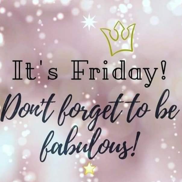 JORDAN & (Phoenix Conure) (@cinnaphoenix) on Twitter photo 