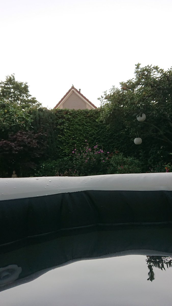 #mylifeinpictures dag 5/7 Geen woorden, geen mensen. Uitgedaagd door <a href="/RobWitjes/">Rob Witjes</a>.
<a href="/TheaBrinkhuis/">Thea Brinkhuis</a> neem jij deze uitdaging aan?