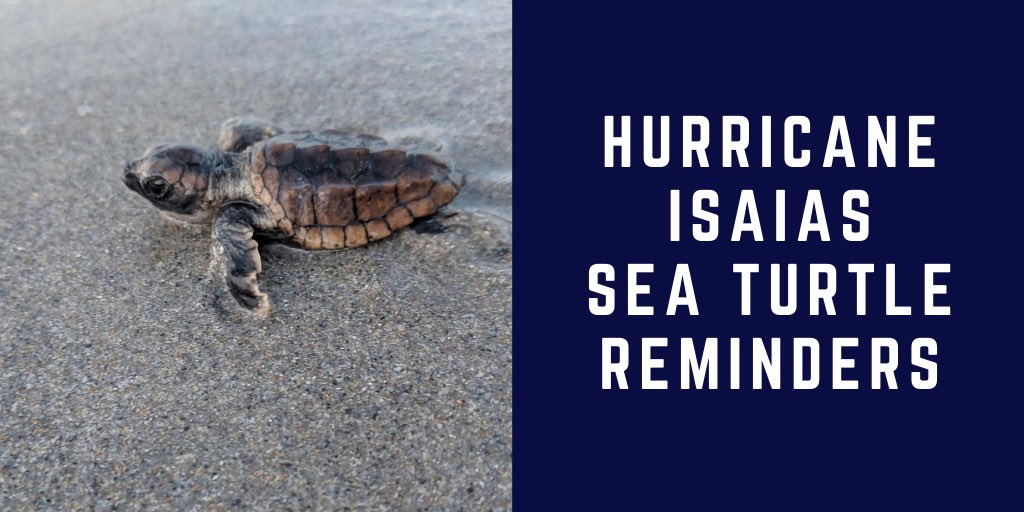 LoggerheadMC's tweet photo. Due to potential impacts of #HurricaneIsaias on our area this weekend, #LoggerheadMarinelifeCenter will close its campus and the @JunoBeachPier tomorrow and will remain closed until the storm passes. For more information, please visit: https://t.co/SVaiIe3LdC https://t.co/LJc2ZBuuAD
