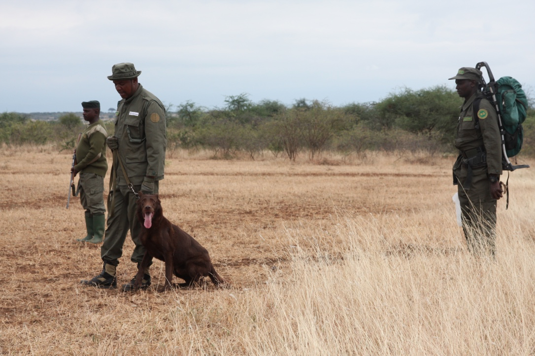 dr Katarzyna Nowak tweet media