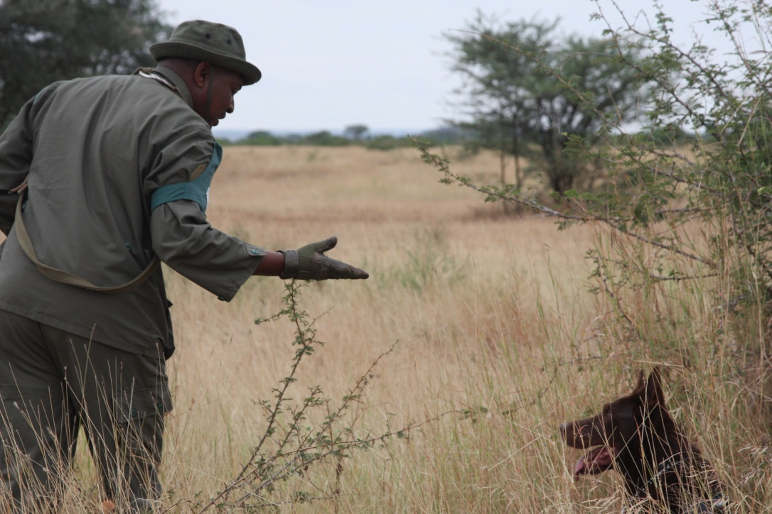 dr Katarzyna Nowak tweet media