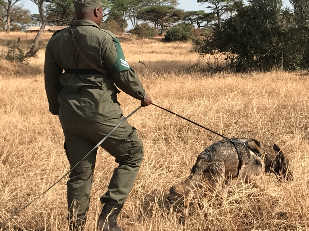 dr Katarzyna Nowak tweet media