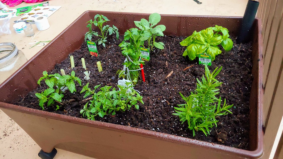 BunnetteBear's tweet photo. Thank you for helping Mommy with her garden, sweetheart! It's got a lot of growing to do, unlike you~ 😝! https://t.co/8VMMO19V1V