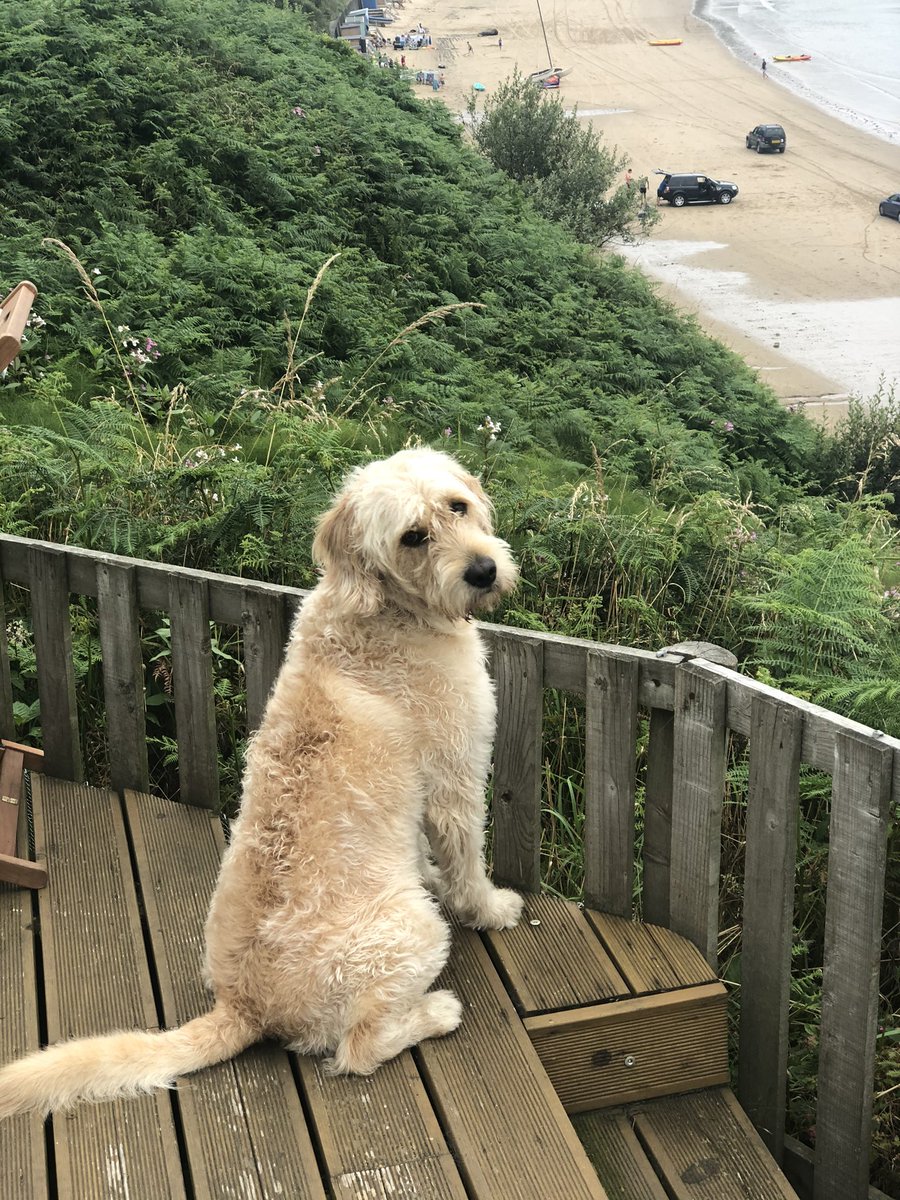 Murphy198597's tweet photo. Having a great holiday 👋👌 https://t.co/47HVBJJwQk