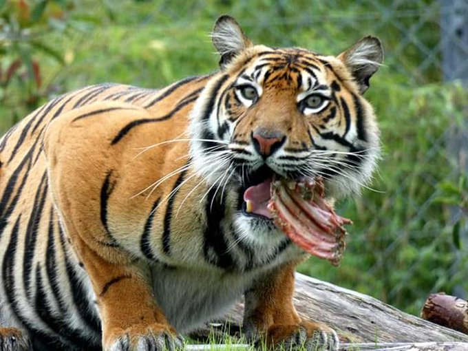 Mature Ellen B Here @EllenMature  Evening Blokes, wish I could swan in Hugh Grants room right now wearing<a class="tags" href="/tag/ellenmature">@ellenmature</a><a href="/tag/mytwitteranniversary"class="tags"><span>#mytwitteranniversary</span></a>