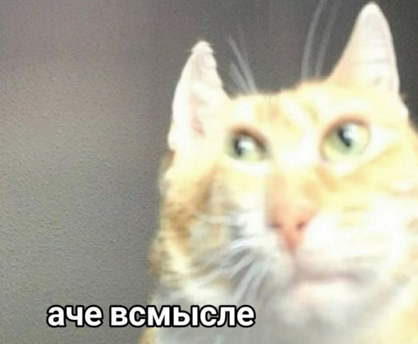 fandom_stalker_'s tweet photo. бля что делать когда вставать почти в пять, а сейчас час
 
мем отменяется мне не смешно https://t.co/3pZvUk1lPb