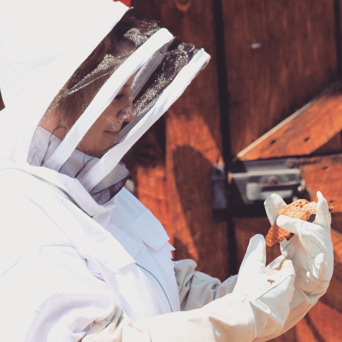 SarahLafrance's tweet photo. 🐝 Hive check up day and I found heart! ❤️ #BeeKind #FindItInEverything https://t.co/BOEf15YS9L