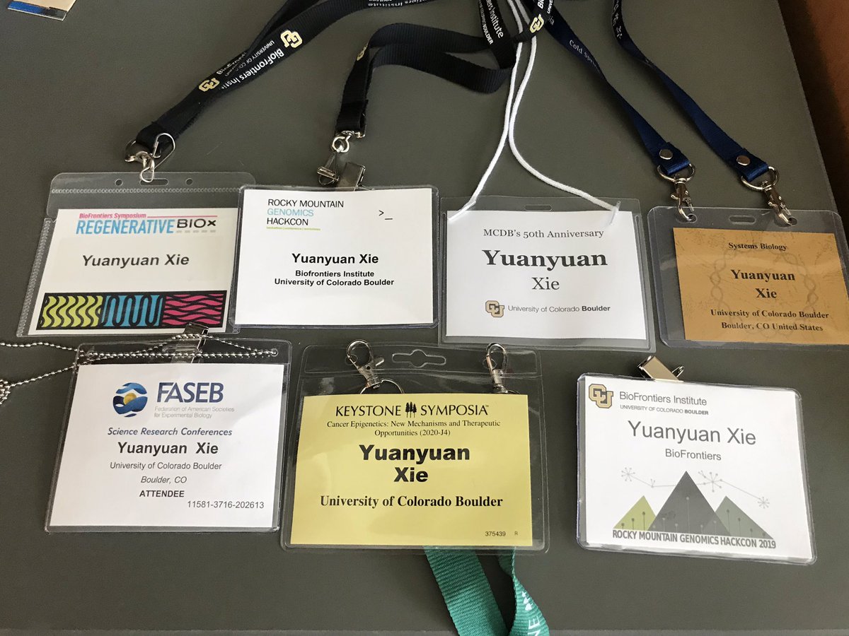 circlexyy's tweet photo. Meetings I’ve attended in the past two years before the Zooming era https://t.co/UuIVDpw9oI