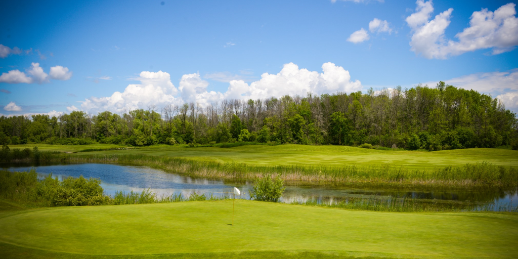 FairwayMedia's tweet photo. We are so excited to be working with @CarruthersCreek to produce their 2020 Course Guides!

📷Photo Courtesy of Carruther's Creek Golf &amp; Country Club

 #FairwayMedia #CourseGuides #Golf #GolfCourse #LoveGolf #GolfLife https://t.co/KrN9XzFnsQ