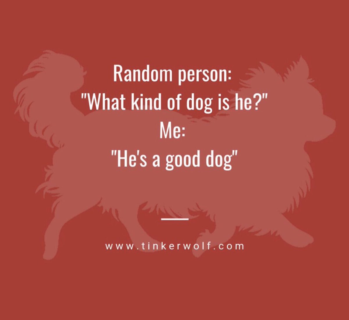 sweetpupsinc's tweet photo. This applies to every dog in the world. https://t.co/tBwNfgvBh2