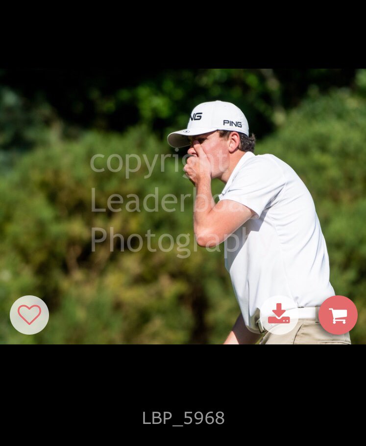 Will Hopkins tweet media