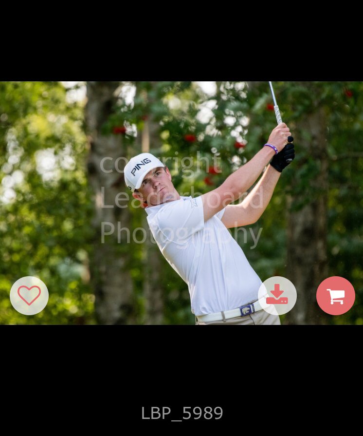 Will Hopkins tweet media