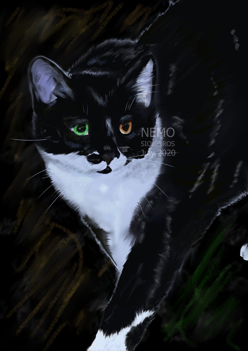 Another  #kitty for a client! I'm still taking commissions!  #cat  #CLIPSTUDIO  #clipstudiopaint  #pastel  #artistsontwitter  #pets
