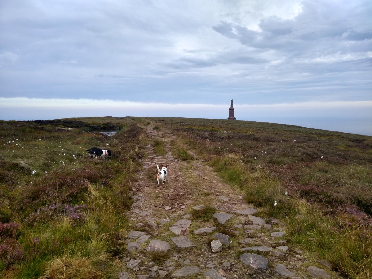 vaderbogger's tweet photo. Hill 2 of the #Hillytrinity #BenBhraggie the #Manney had his pet Ravens with him, he is a big old lump you can see our daughter at the foot of him in picture 4. A bit cloudy to the west but could see #Clebrig https://t.co/YetMN6h5Qj