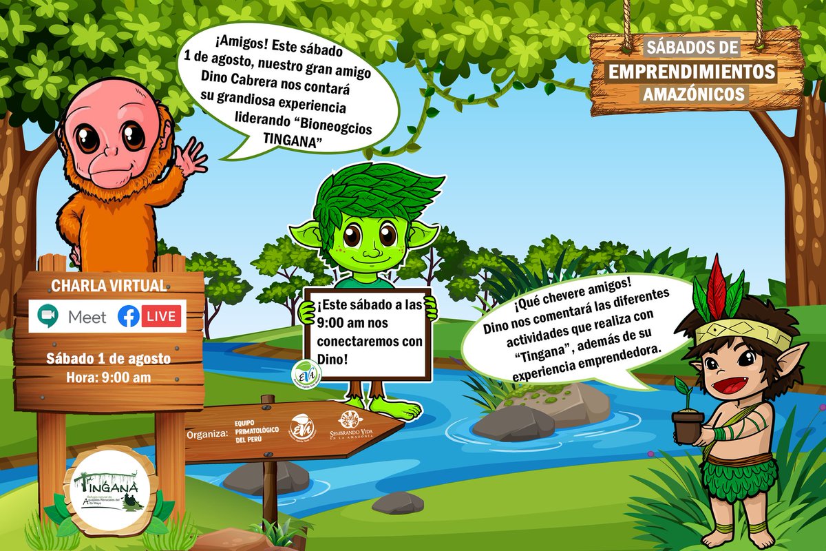 kokitoamazonia's tweet photo. #SábadosDeEmprendimientosAmazónicos

➡️ Nuestra gran amigo #Íkam junto con #Toqui del Equipo Primatológico del Perú y #Lupunito del Espíritu Verde Amazónico, nos invitan a una charla virtual con Dino Cabrera, representante de "Bionegocios Tingana"

#AmigosDeLaConservación https://t.co/MFYJrCVQiE