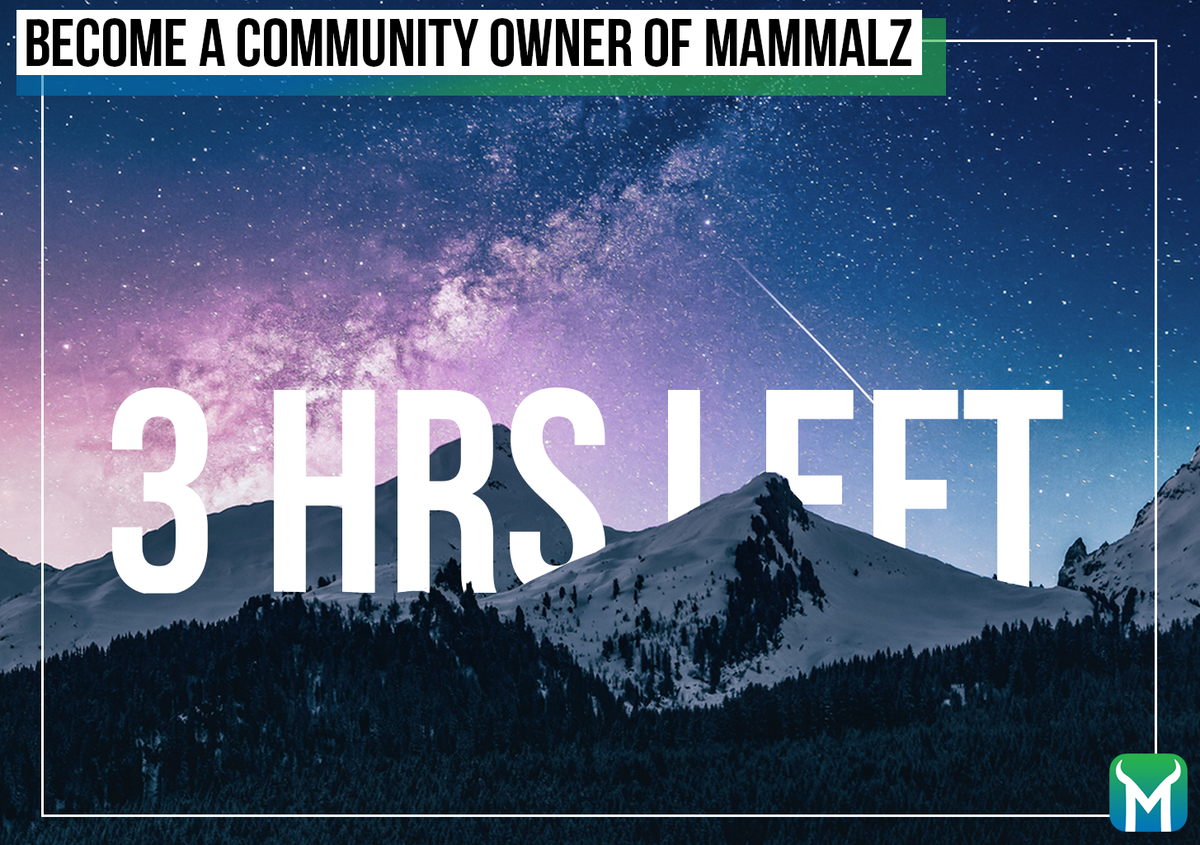 mammalzpbc's tweet image. 3 hours left to become an owner in Mammalz and help the natural world! 🙌🎉⏳
Invest at wefunder.com/mammalz
#Mammalz #3hours #impactinvesting #environment #conservation