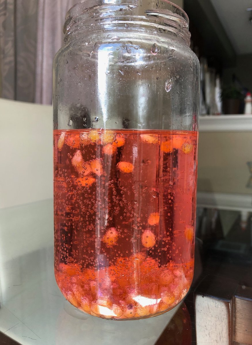 Check out our #CampPossible2020  Life Skills Week 2 highlights! Ms. R made "farm clay" using coffee grounds and showed us how to make popcorn "dance" 🌽💃 #seetheability