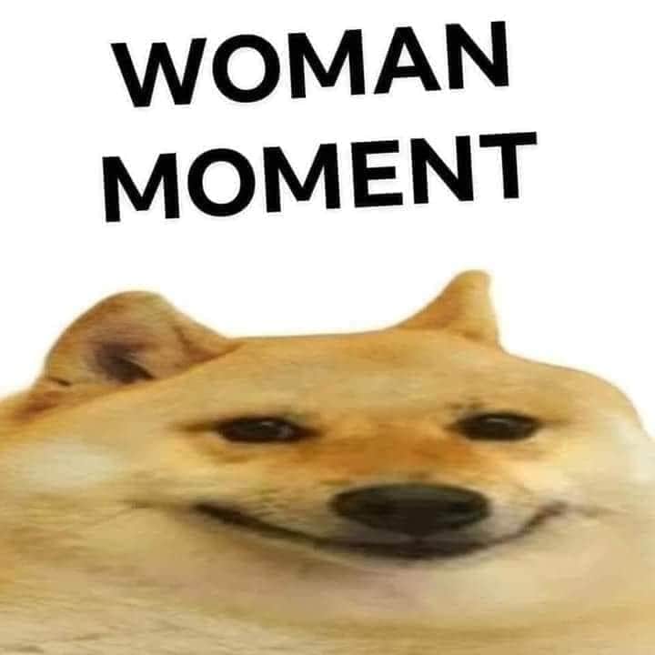 Mr cline's fallout shelter tweet media