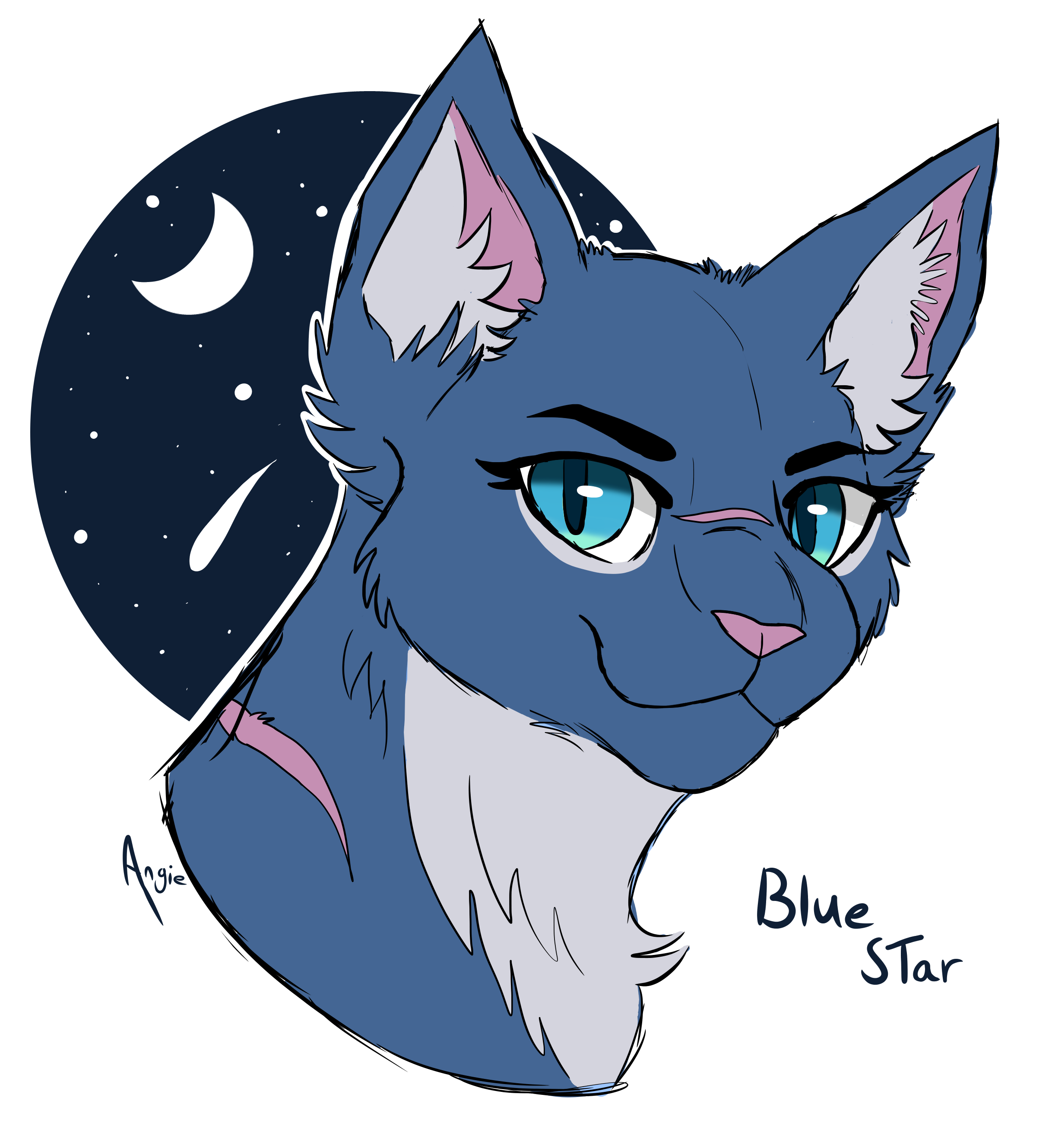 Blue Star - Warrior Cats by snhoot -- Fur Affinity [dot] net