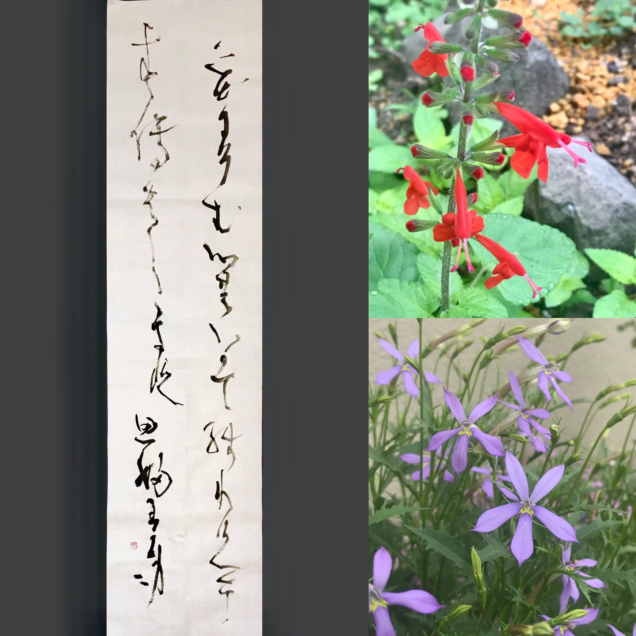 らくだ かなの条幅の練習をしました 高木厚人先生の作品臨摸 花に染む 心のいかで 残りけん 捨て果ててきと 思ふわが身に 西行 最近朝歩きで見つけた花たち を添えてみました 仮名書道 書道 西行 季節の花 かな書道 T Co