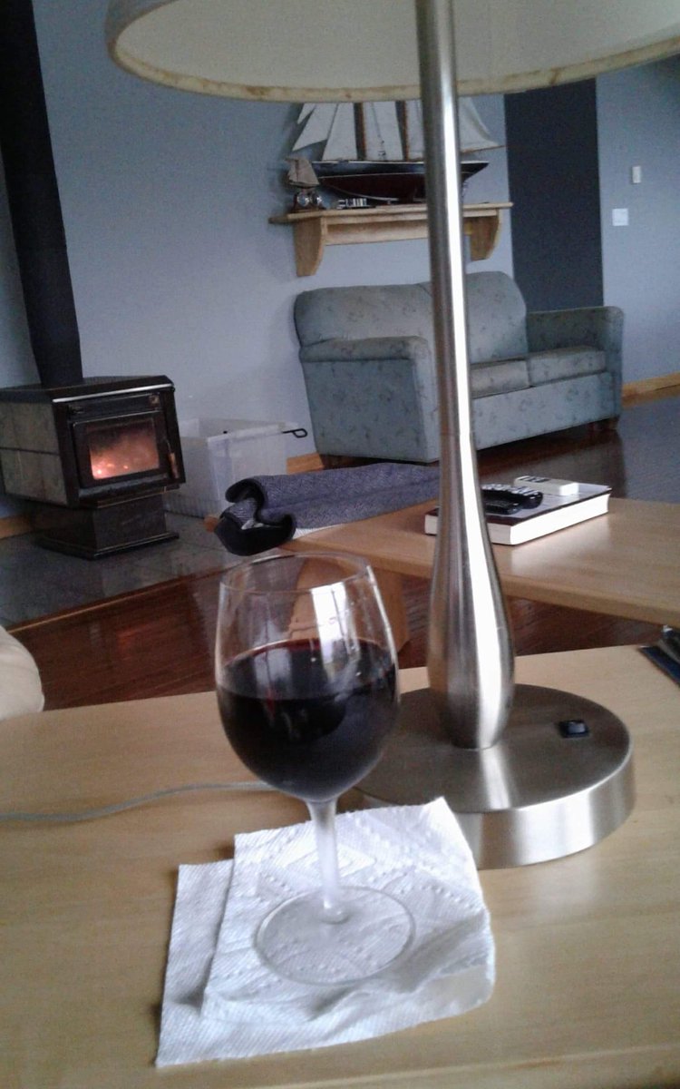 waveycolbourne's tweet photo. #stayhomeyear2020 #WhaleWatcherAirBnB life in #NewfoundlandCanada in July fire, fog and rain perfect for relaxing weekend getaway 🥂 cheers https://t.co/NV5jLe5x3X