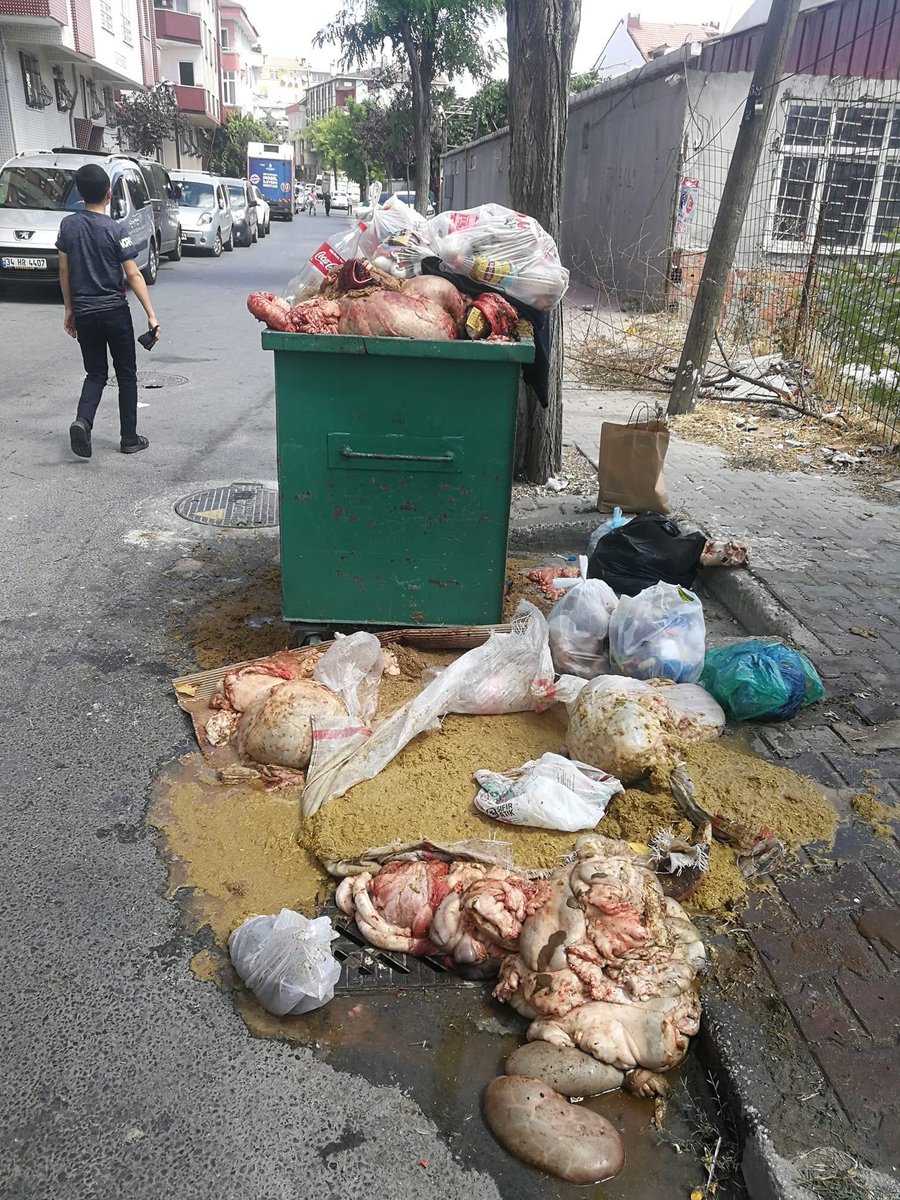Allah aşkına bu nedir arkadaş? Farz yapalım derken çevrenin içine ettin. Ne farz kaldı ne sevap!