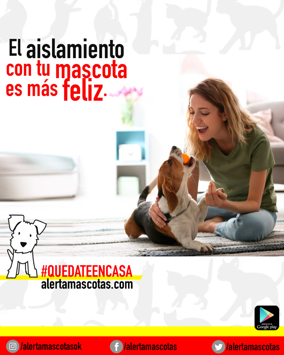 alertamascotas's tweet photo. La Fundación Acavall y la U. Católica de Valencia, con el apoyo de Bayer Animal Health, realizaron una investigación acerca del impacto de vivir con animales durante el confinamiento y el 98% de los participantes aseguraron que sus animales les hacen sentirse felices 🐱❤️🐶 https://t.co/txuHLV2DFk