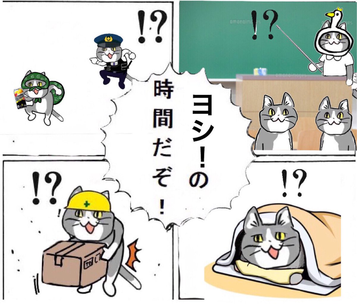 現場猫bot 今日も一日