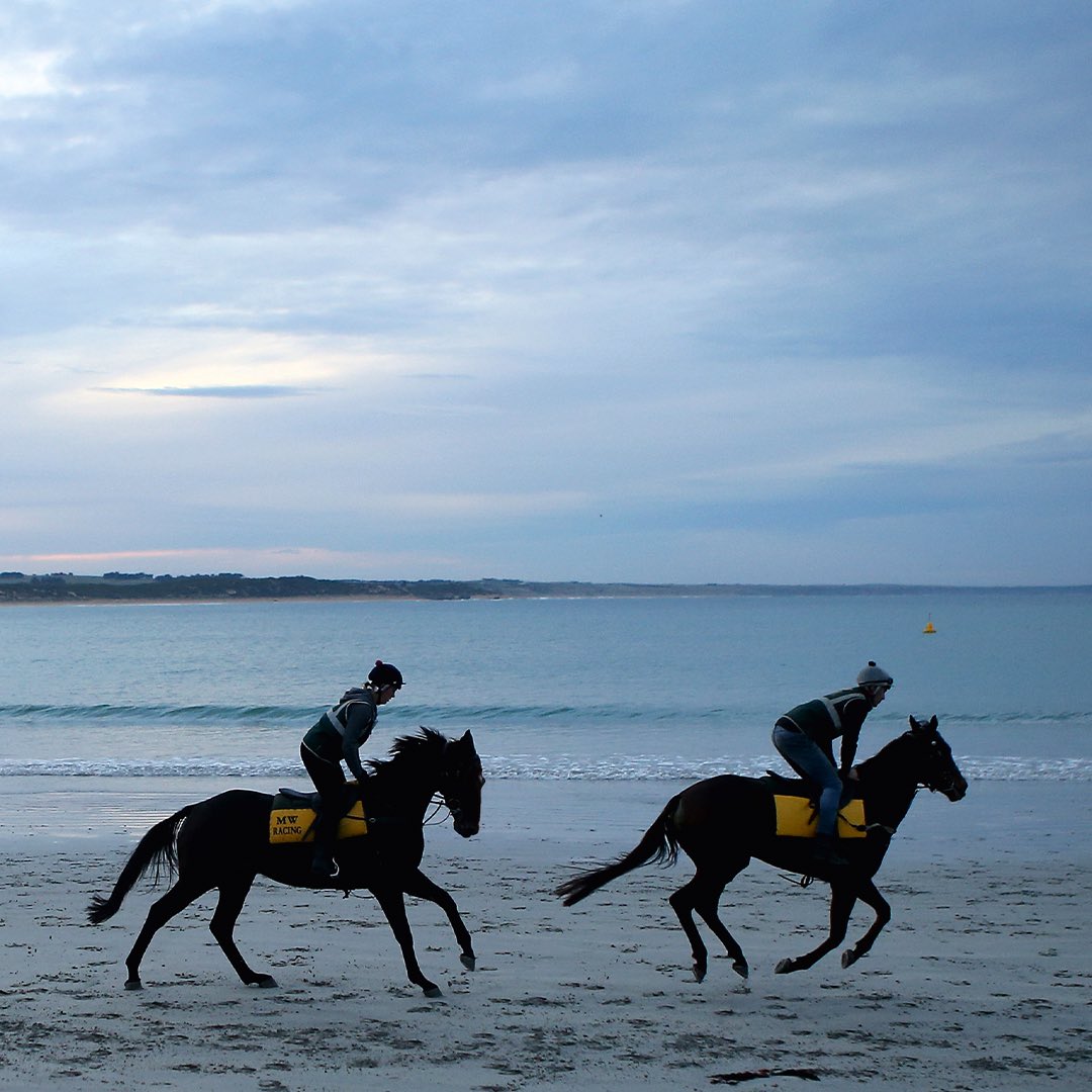 Festival of Racing tweet media