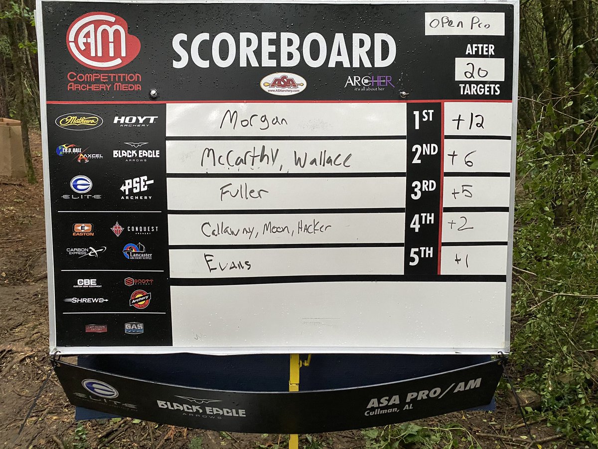 Open Pro scores after 20