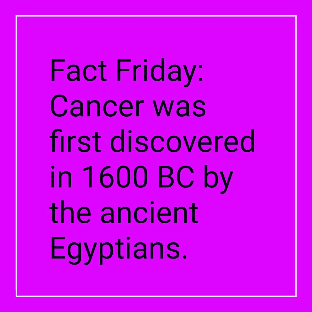 chemo_bearable's tweet photo. Today's #FactFriday. #FightCancer #Chemotherapy #AncientEgyptians #CancerDiscovery #CancerFight https://t.co/oocaNLUniV