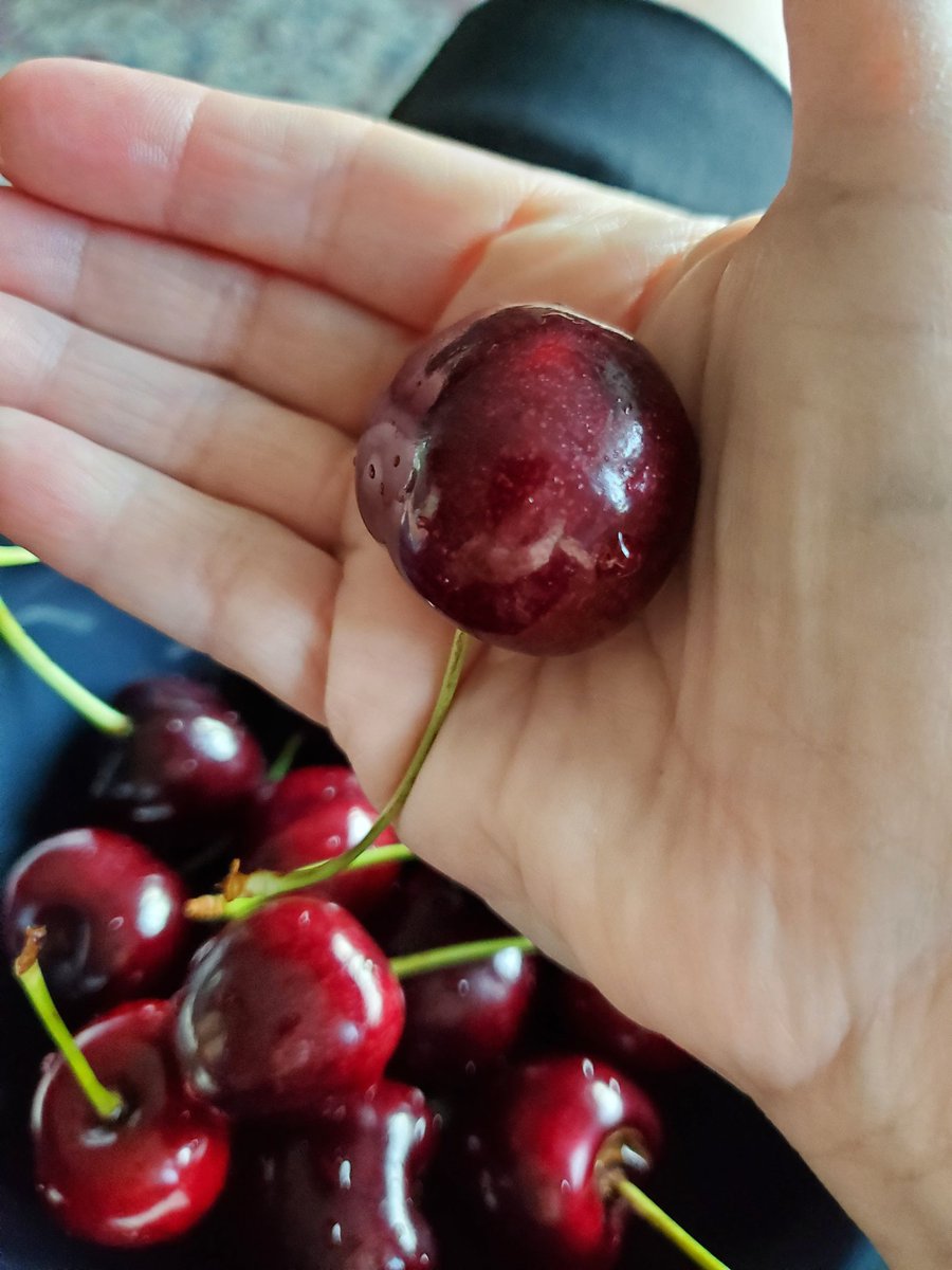 Vacation in your own Province #summerland #beautifulbc #monstercherries