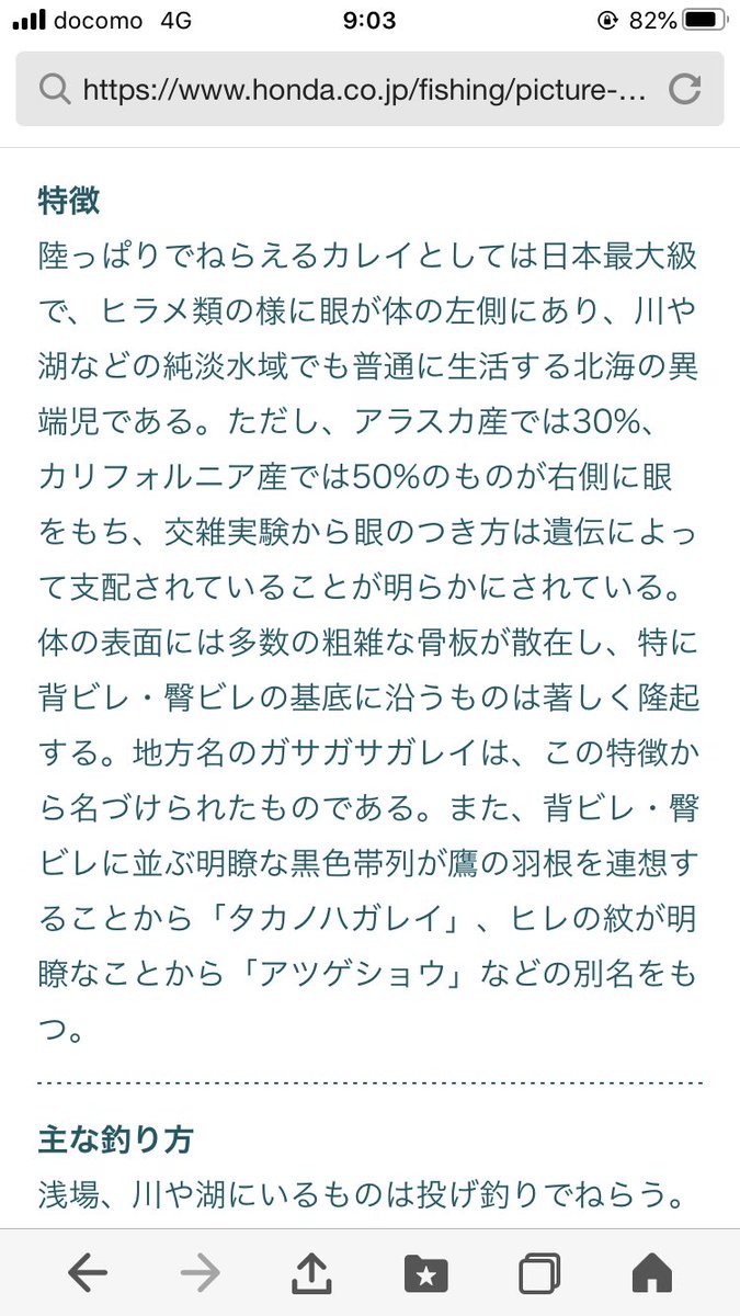 北海道の清流で 左目のカレイ が釣れた 実は川にもいる興味深いカレイの分類や生態の世界の話 Togetter 北海道の清流で 左目のカレイ が釣れた 実は川にもいる興味深いカレイの分類や生態の世界の話 Togetter