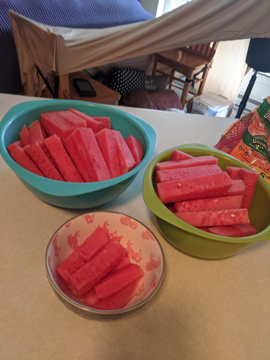 uberrapidash1's tweet photo. I never expect so much watermelon to come out of a watermelon. I'm never ready. Will someone help us eat this? #IGGPPCamp https://t.co/gJEtcUBeZa
