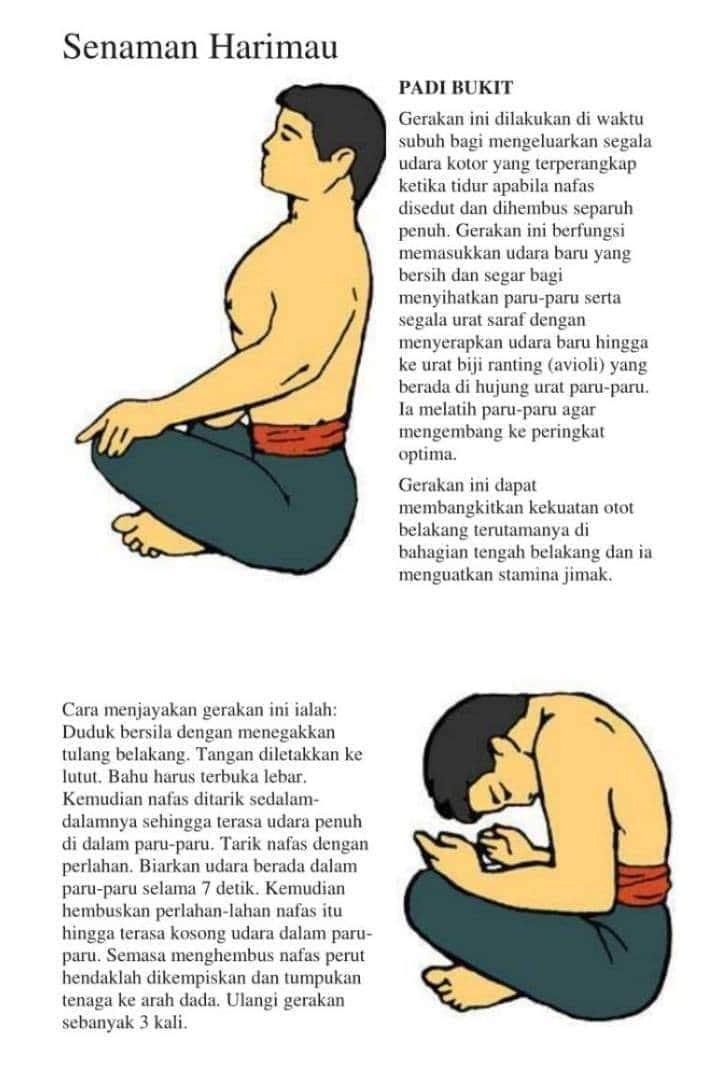 headsink's tweet image. Yoga Melayu. Mari amalkan...