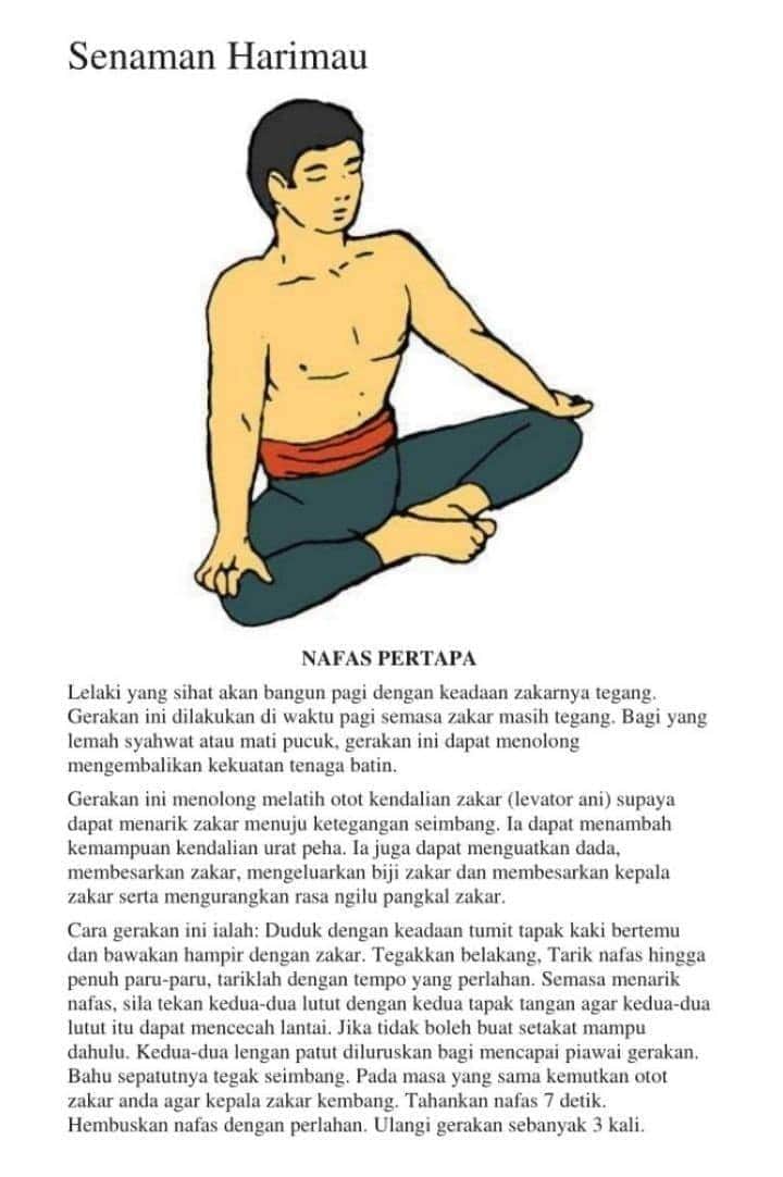 headsink's tweet image. Yoga Melayu. Mari amalkan...