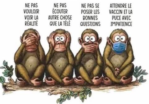 Maraja Production (@marajaprod) on Twitter photo 