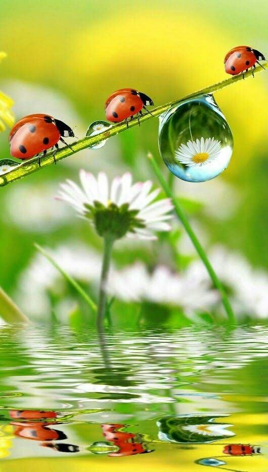 ���� ���� ������ �� ���� ������