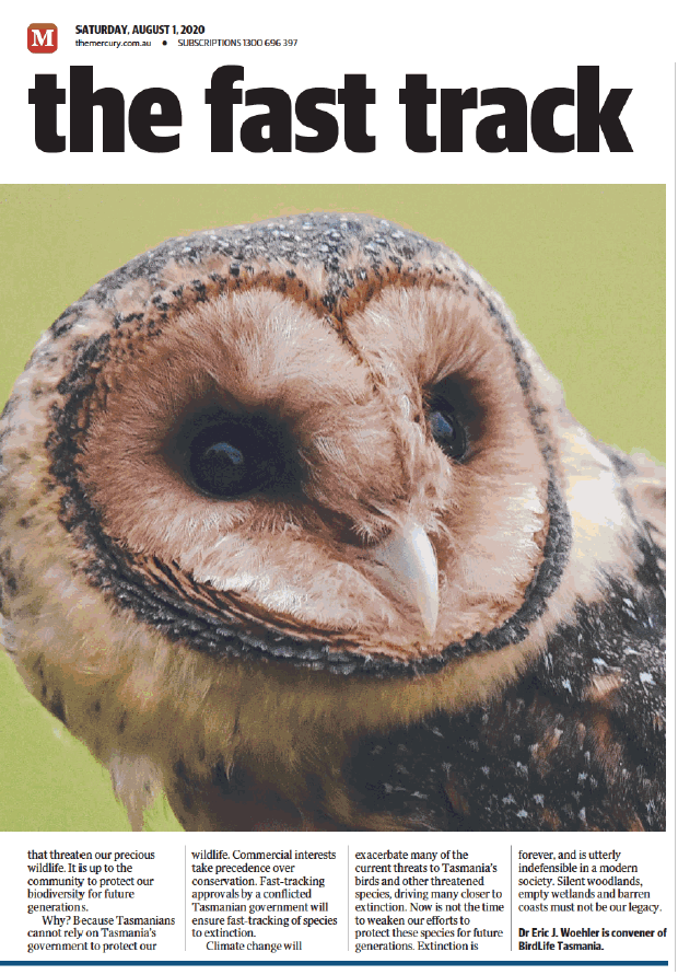 BirdLife Tasmania tweet media