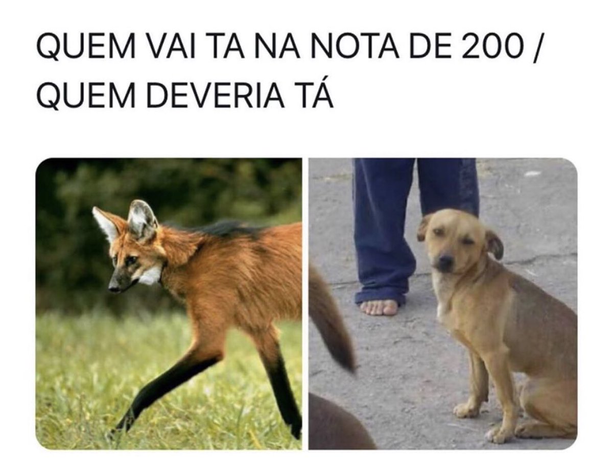 iphone bdj (@iphone_bdj) on Twitter photo 