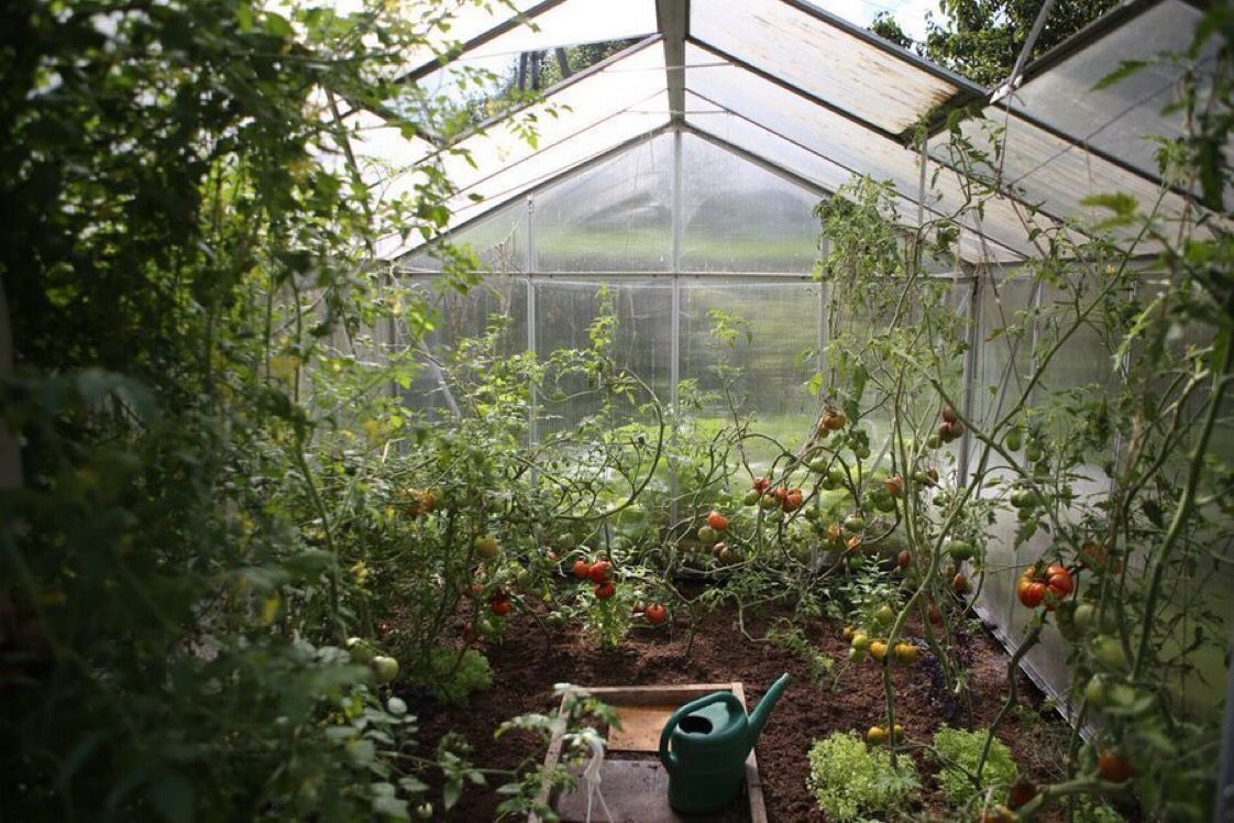 Food and Agriculture Organization tweet media