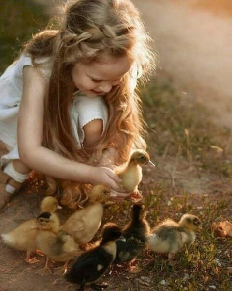 ���� ���� ������ �� ���� ������