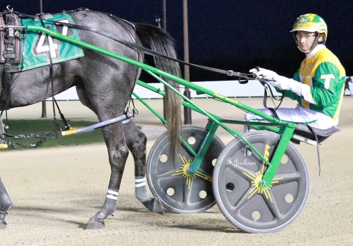 hoosiernations's tweet photo. Hoosier Park top drivers
#HatTrick
Sam Widger #RockNFantasy #BrassyHanover #TyberTyke
@TraceTetrick #Tellmeaboutit #RollWithTime #IslandOfTheSea
#DrivingDouble
@bigticketbates #PrinceMcardleN #SkywayFireball
Congrats gentlemen!
@WrennSandy https://t.co/Gb7iFG9dHz