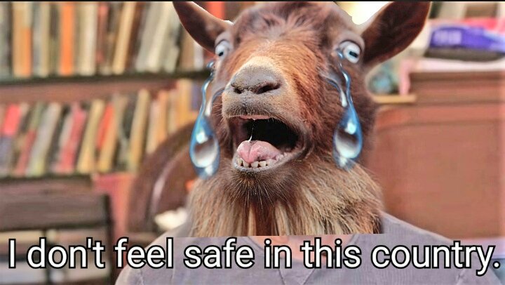 FollowAkshay1's tweet photo. Goats and other cattles on #Bakrid 👇😭

@delhichatter
#BakraLivesMatter https://t.co/uLXSQRjmvp