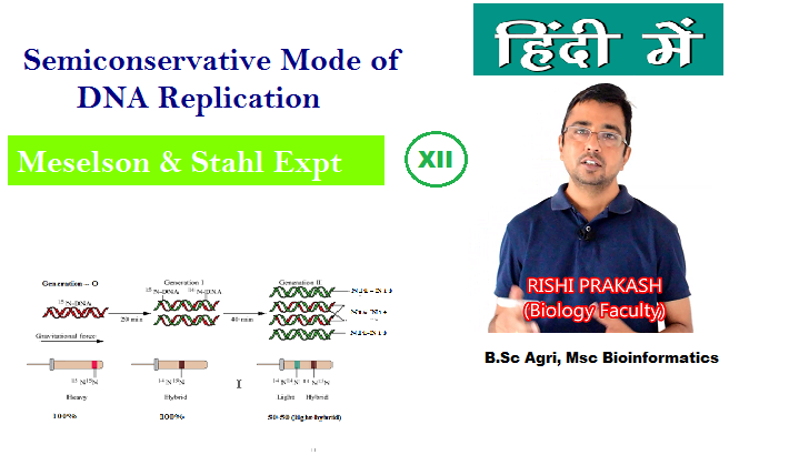 prakashrishu's tweet photo. Molecular Basis of Inheritance: Meselson and Stahl Experiment https://t.co/79lxrMYpik via @YouTube https://t.co/HDw6yKfhma