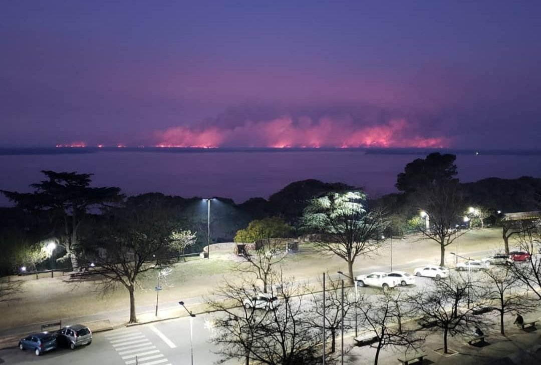 Joaquin Del Mundo tweet media