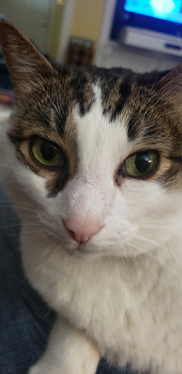 Chris the DM 🏳️‍🌈 tweet media