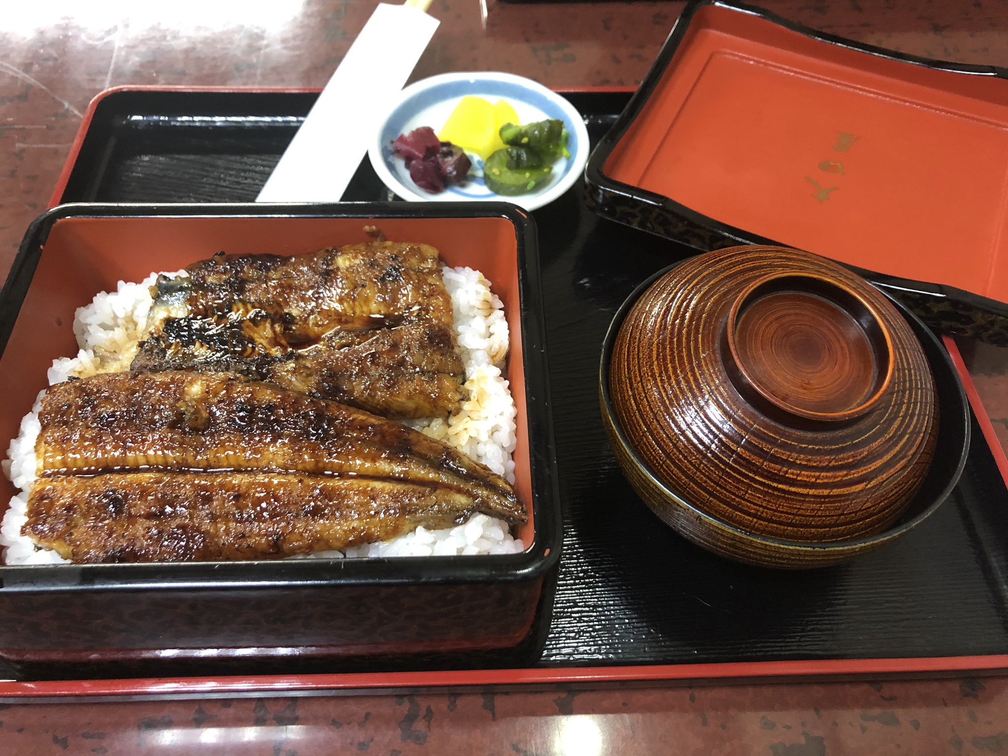 ケイ 初めてうなぎ出た ポケモンgo レックウザ 色違い T Co 17m8bypczr Twitter