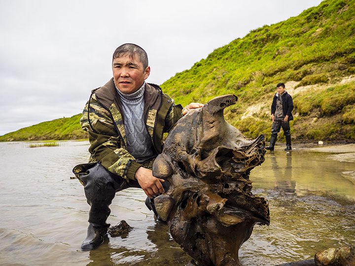 世界最極寒の永久凍土から2万年前のサイが発見される 歴史的な貴重史料の発掘に素直に喜べないという声も Togetter